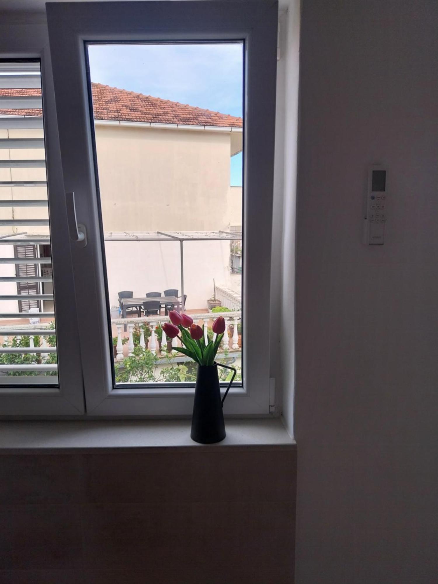 Apartmani Miletic イェルサ エクステリア 写真